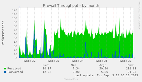 Firewall Throughput